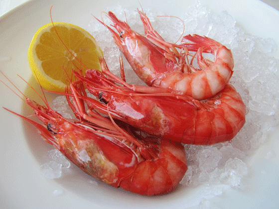 LA GAMBA ROJA DE DENIA