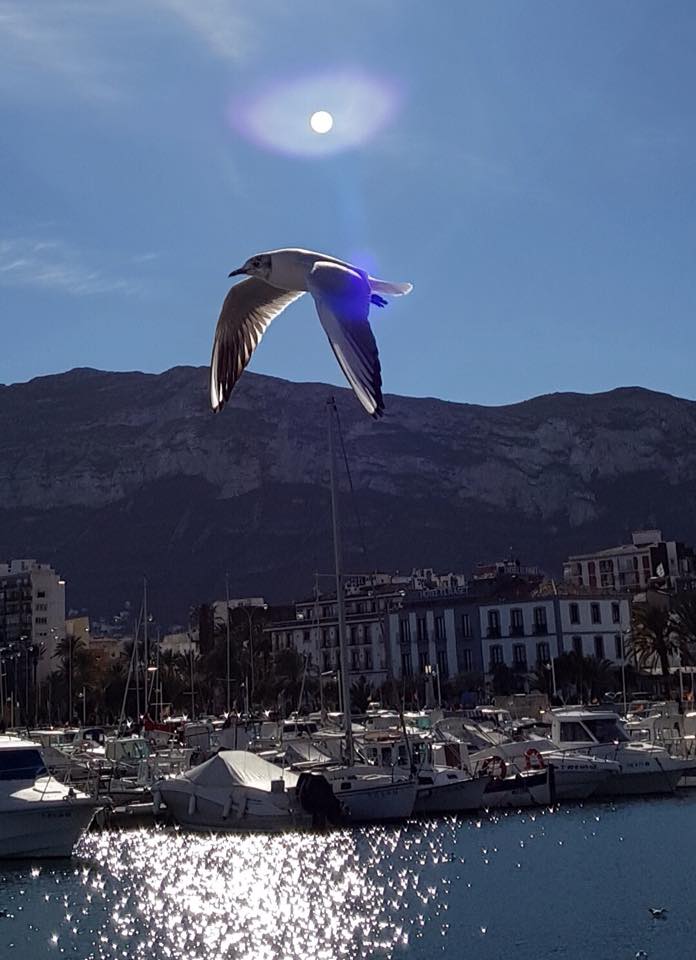 26167860_1984640728441171_5536835636092716986_n