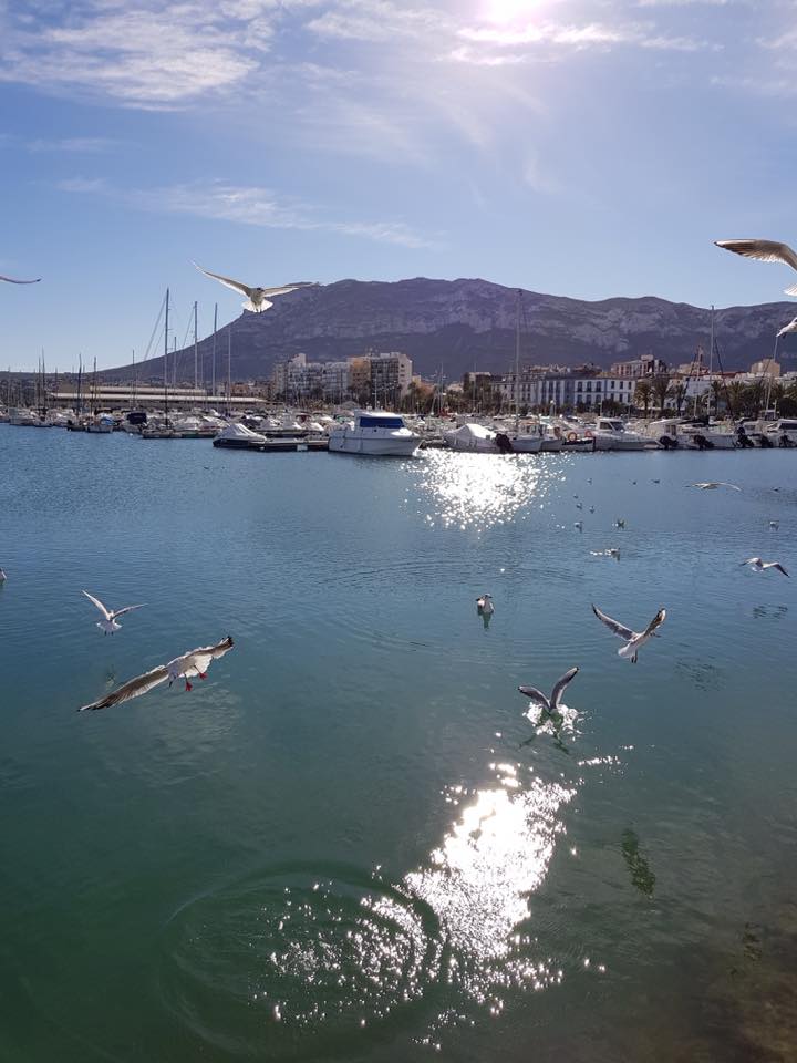 26168841_1984640808441163_6766375763125084156_n