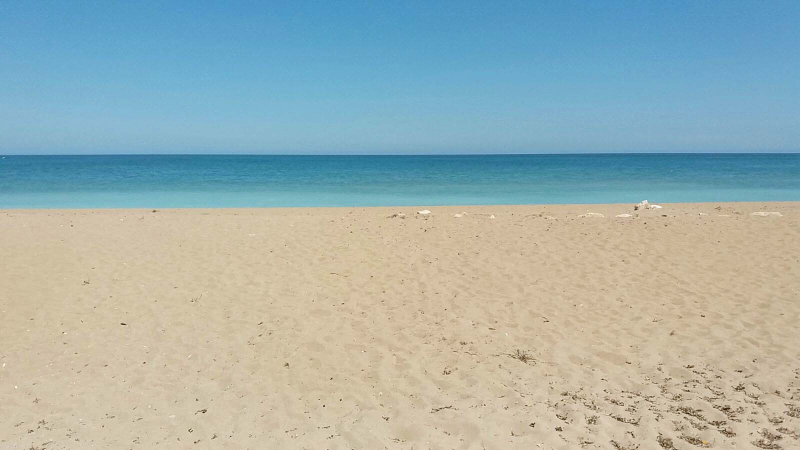 9be3453c-9e72-4a28-9791-cf572ed2371c