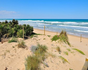 PLAYA DE LES DEVESES EN&nbsp;DENIA