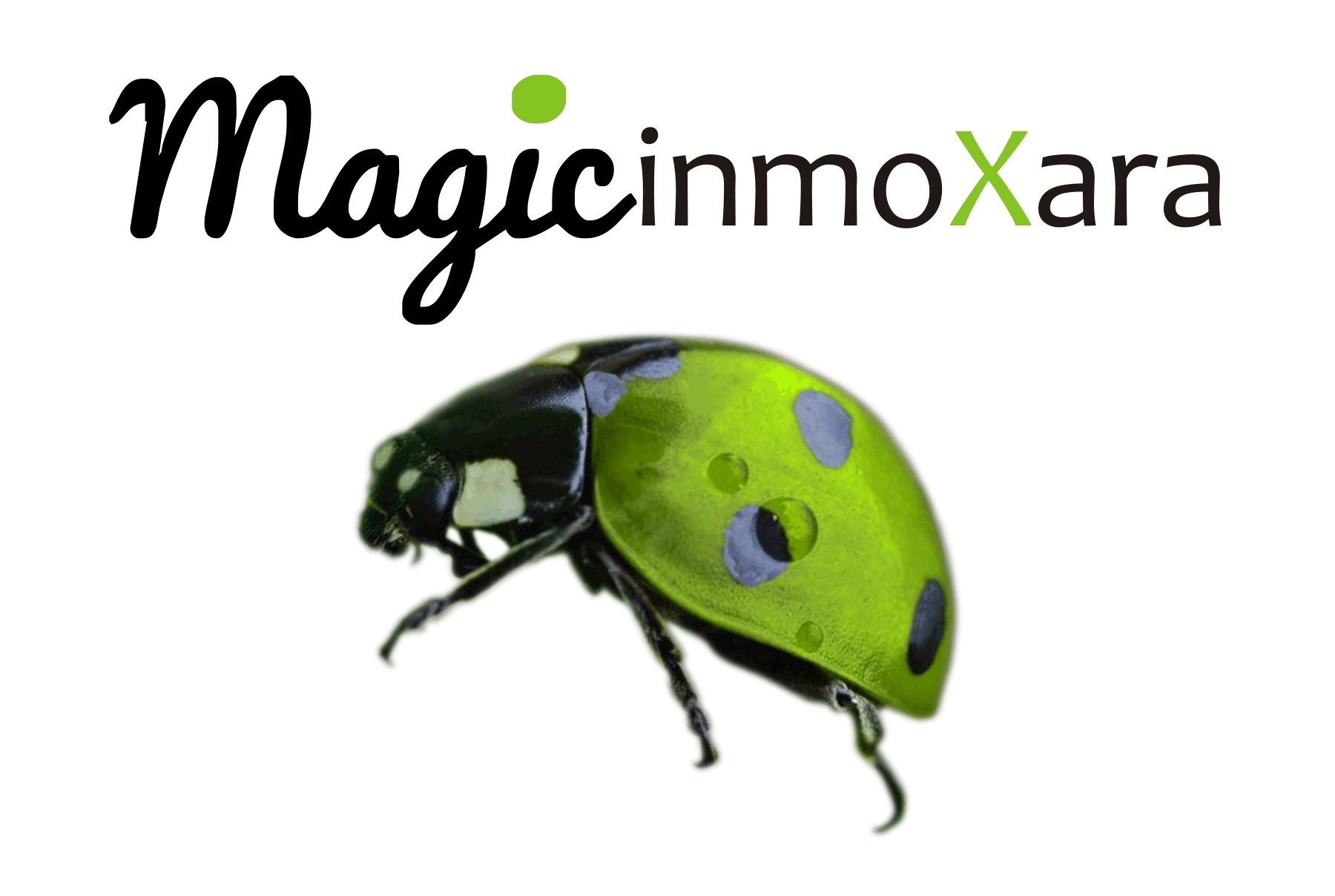 MAGIC INMOXARA