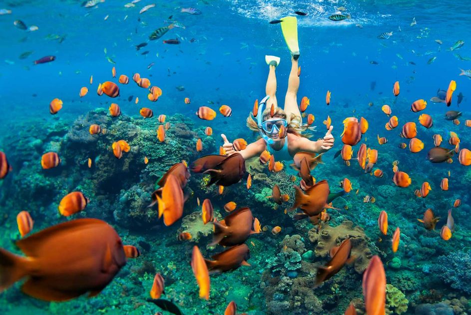 Aventuras de Snorkel en Dénia que Debes Vivir